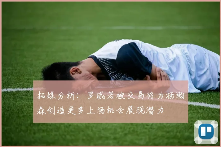 拓媒分析：罗威若被交易将为杨瀚森创造更多上场机会展现潜力