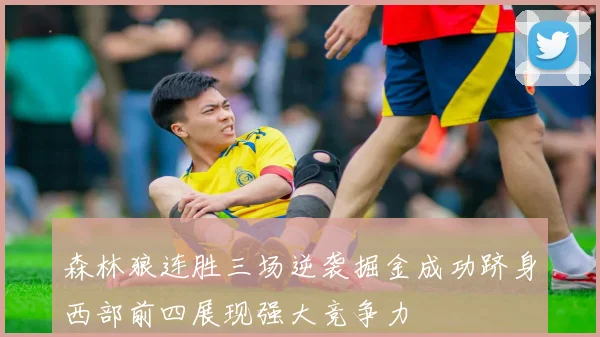 森林狼连胜三场逆袭掘金成功跻身西部前四展现强大竞争力
