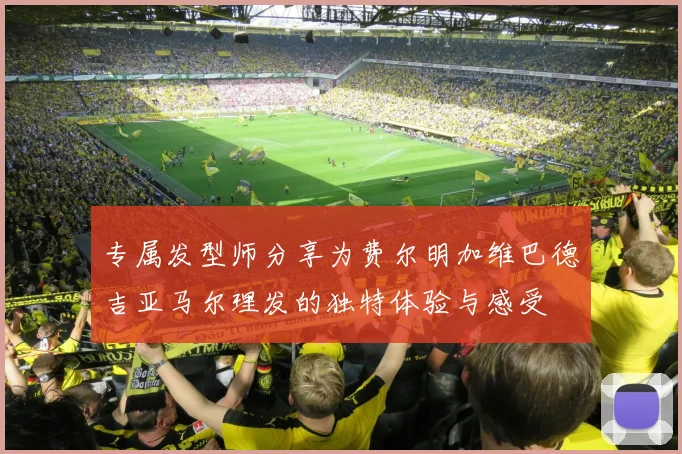 专属发型师分享为费尔明加维巴德吉亚马尔理发的独特体验与感受