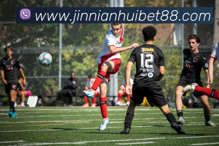 金年会APP 封面图